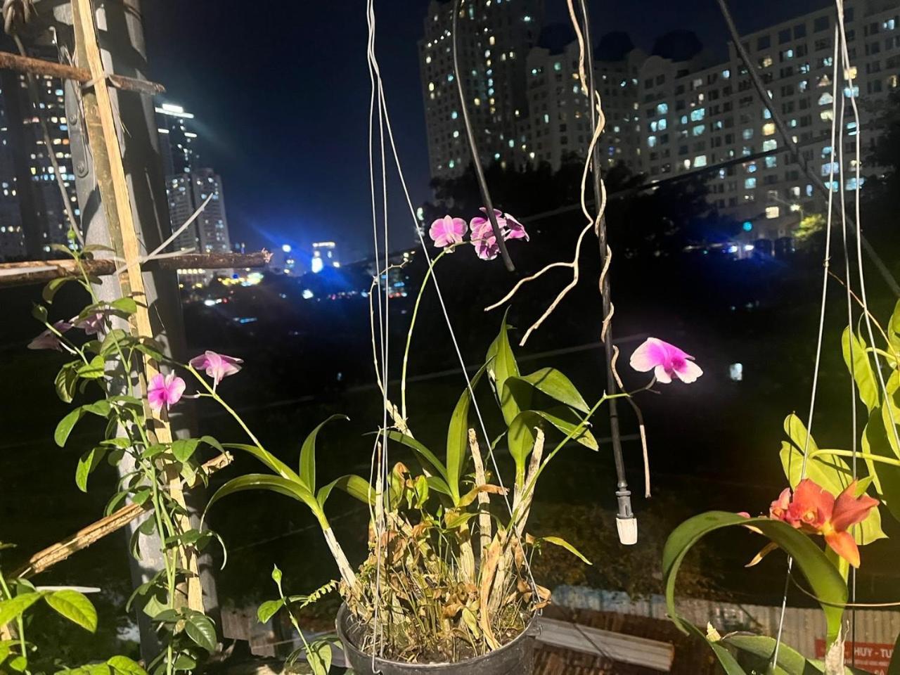 May House Binhthanh 胡志明市 外观 照片