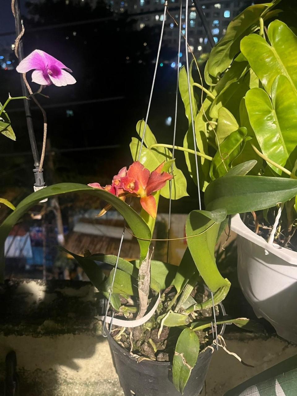 May House Binhthanh 胡志明市 外观 照片